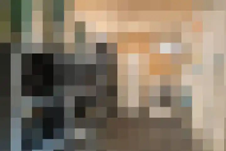 Blaaksedijk 26 Fijnaart thumbnail 32