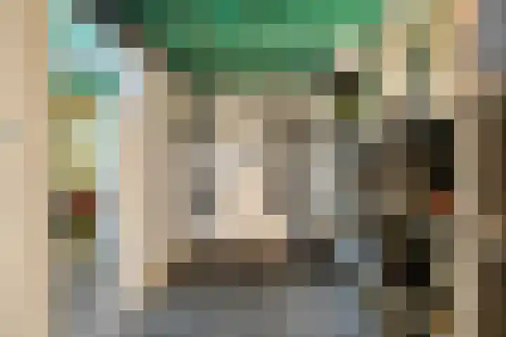Blaaksedijk 26 Fijnaart thumbnail 33