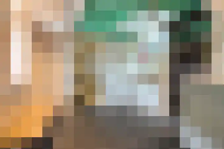 Blaaksedijk 26 Fijnaart thumbnail 34