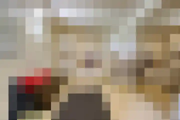 Blaaksedijk 26 Fijnaart thumbnail 35