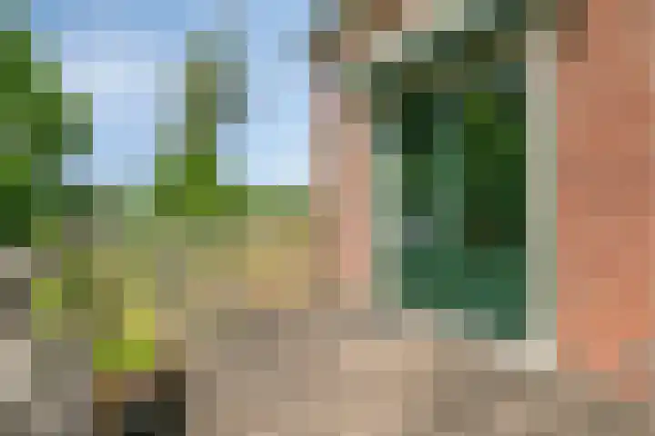 Blaaksedijk 26 Fijnaart thumbnail 36
