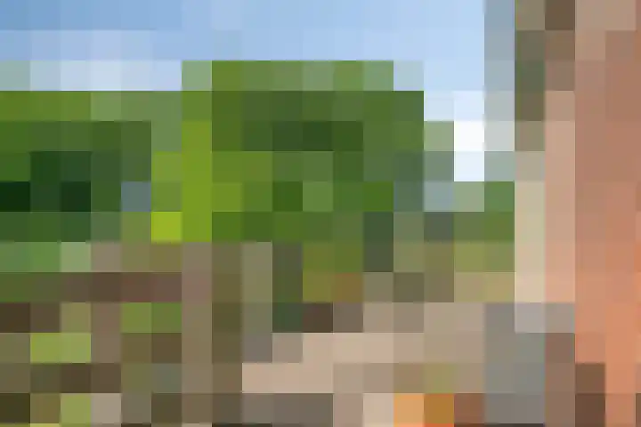 Blaaksedijk 26 Fijnaart thumbnail 37