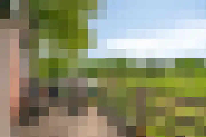 Blaaksedijk 26 Fijnaart thumbnail 38