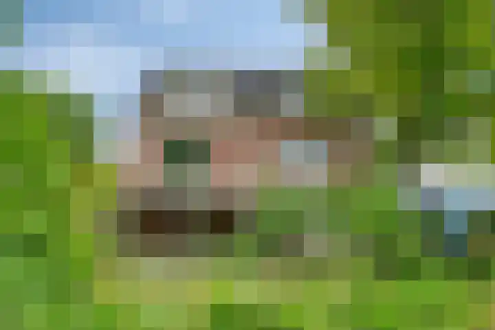 Blaaksedijk 26 Fijnaart thumbnail 4