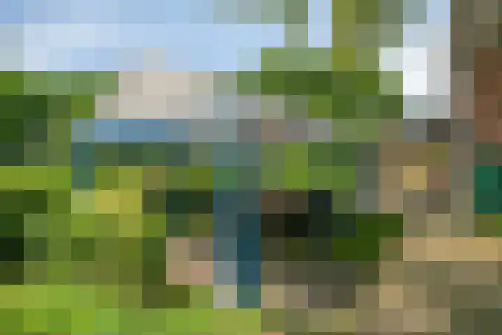 Blaaksedijk 26 Fijnaart thumbnail 40