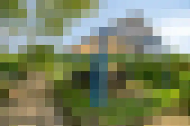 Blaaksedijk 26 Fijnaart thumbnail 41
