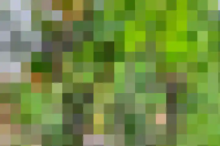 Blaaksedijk 26 Fijnaart thumbnail 44