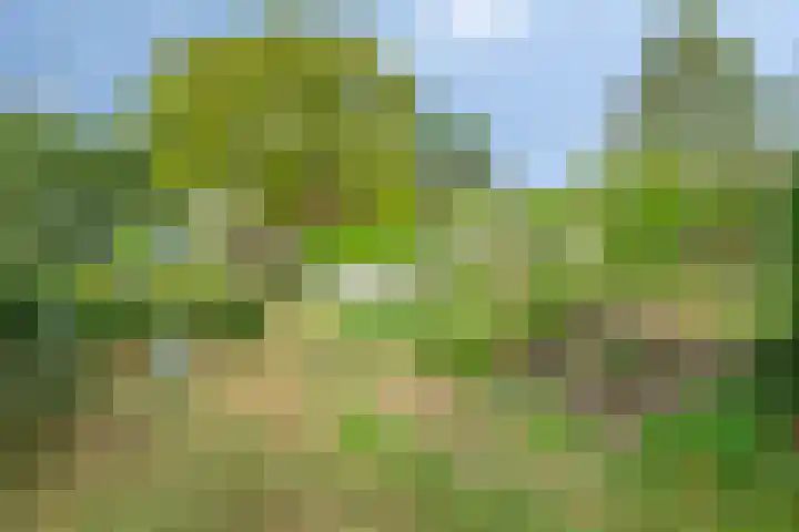 Blaaksedijk 26 Fijnaart thumbnail 45