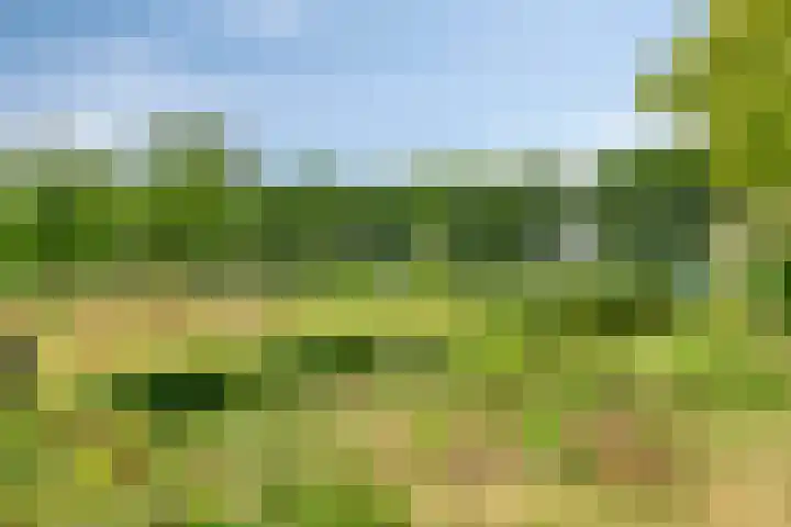Blaaksedijk 26 Fijnaart thumbnail 46