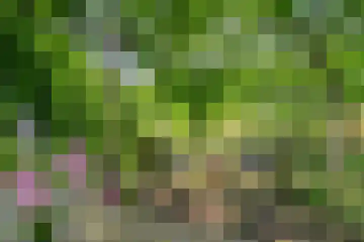 Blaaksedijk 26 Fijnaart thumbnail 48