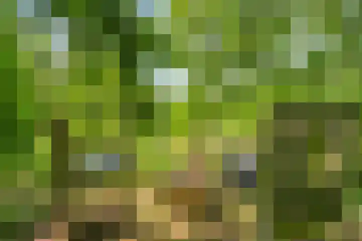 Blaaksedijk 26 Fijnaart thumbnail 49