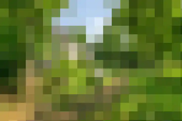 Blaaksedijk 26 Fijnaart thumbnail 50
