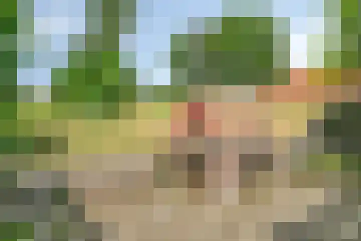 Blaaksedijk 26 Fijnaart thumbnail 52