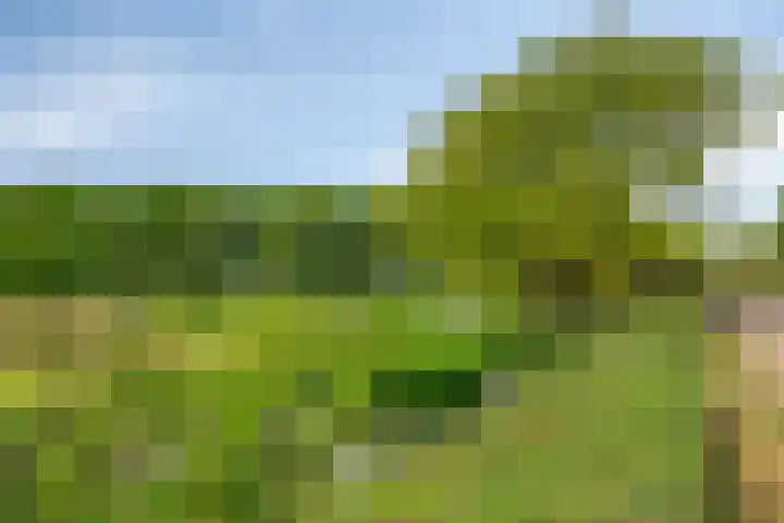 Blaaksedijk 26 Fijnaart thumbnail 53