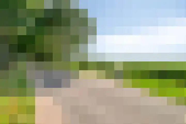 Blaaksedijk 26 Fijnaart thumbnail 54