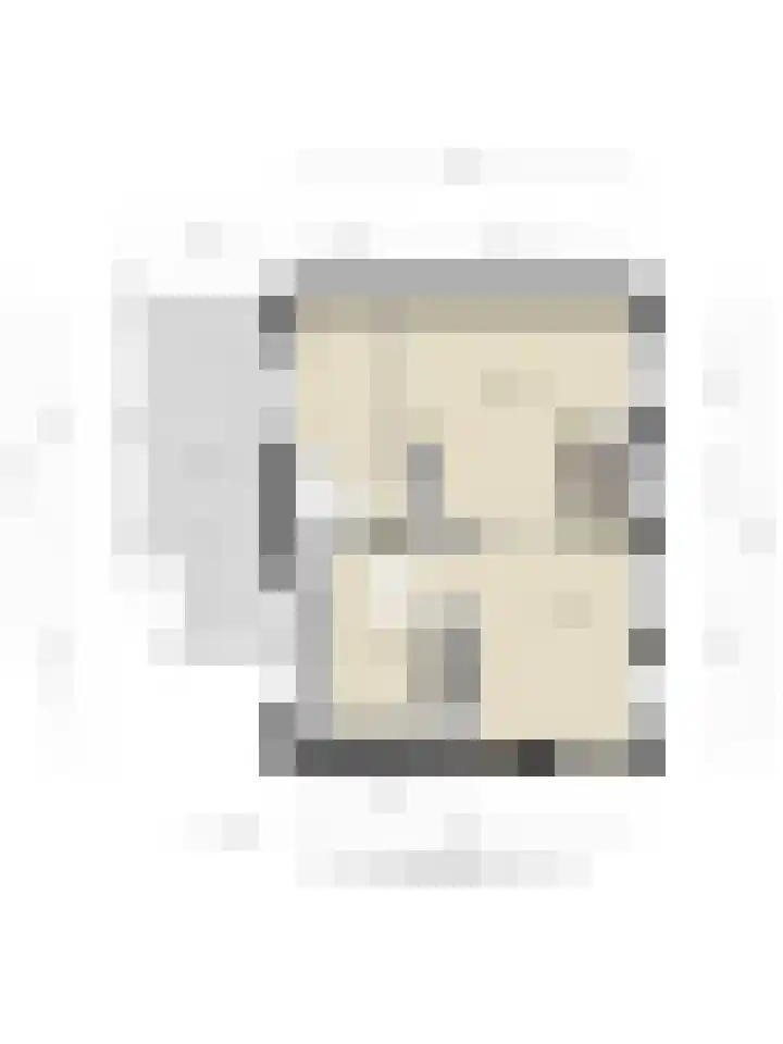 Blaaksedijk 26 Fijnaart thumbnail 55
