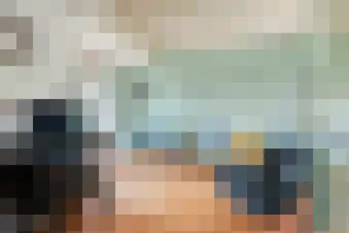 Blaaksedijk 26 Fijnaart thumbnail 7