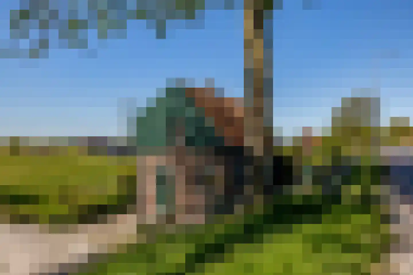 Blaaksedijk 278 Mijnsheerenland thumbnail 13
