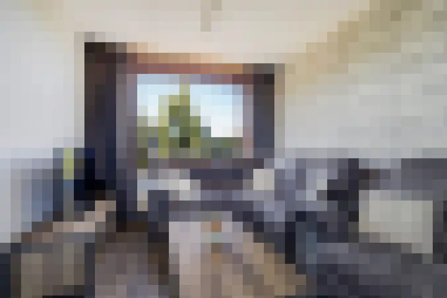 Blaaksedijk 278 Mijnsheerenland thumbnail 21
