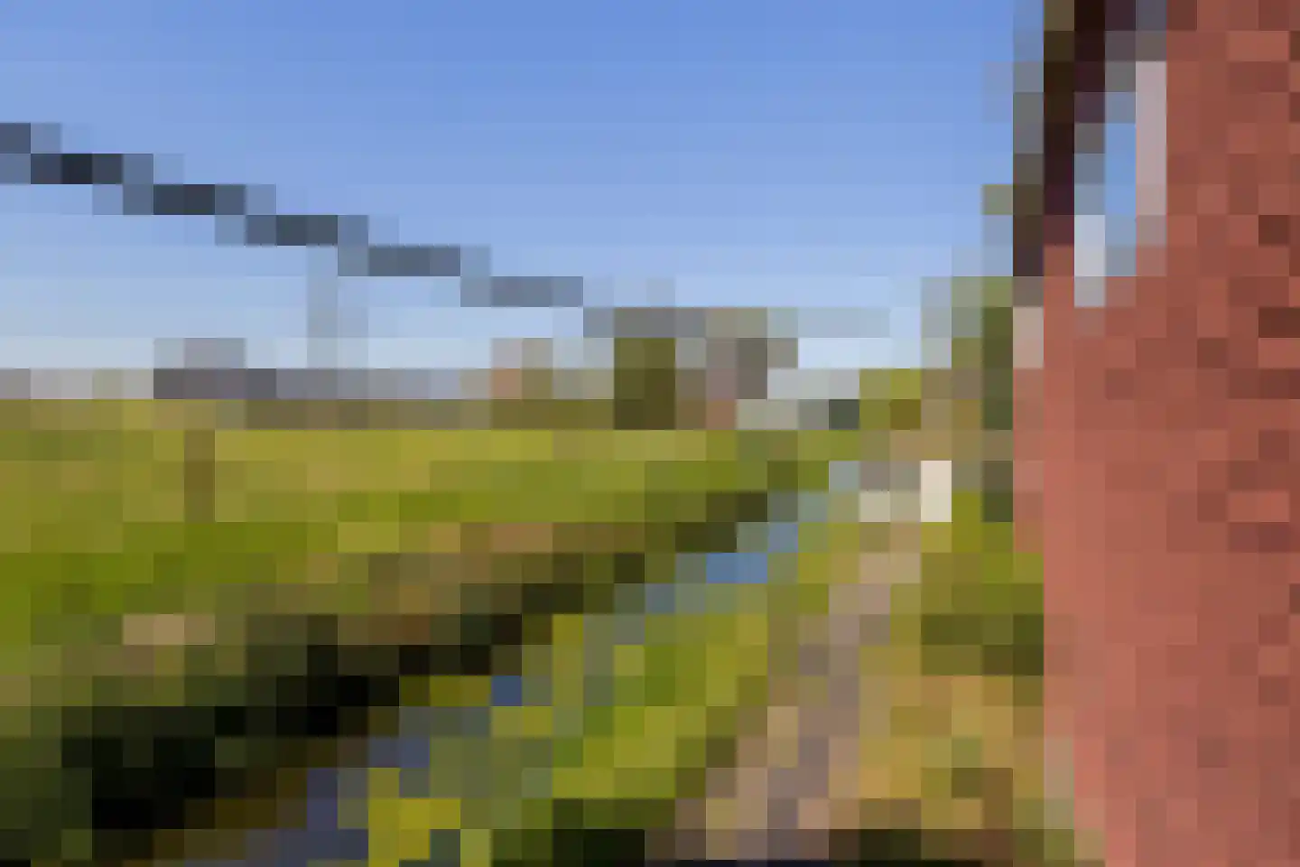 Blaaksedijk 278 Mijnsheerenland thumbnail 39