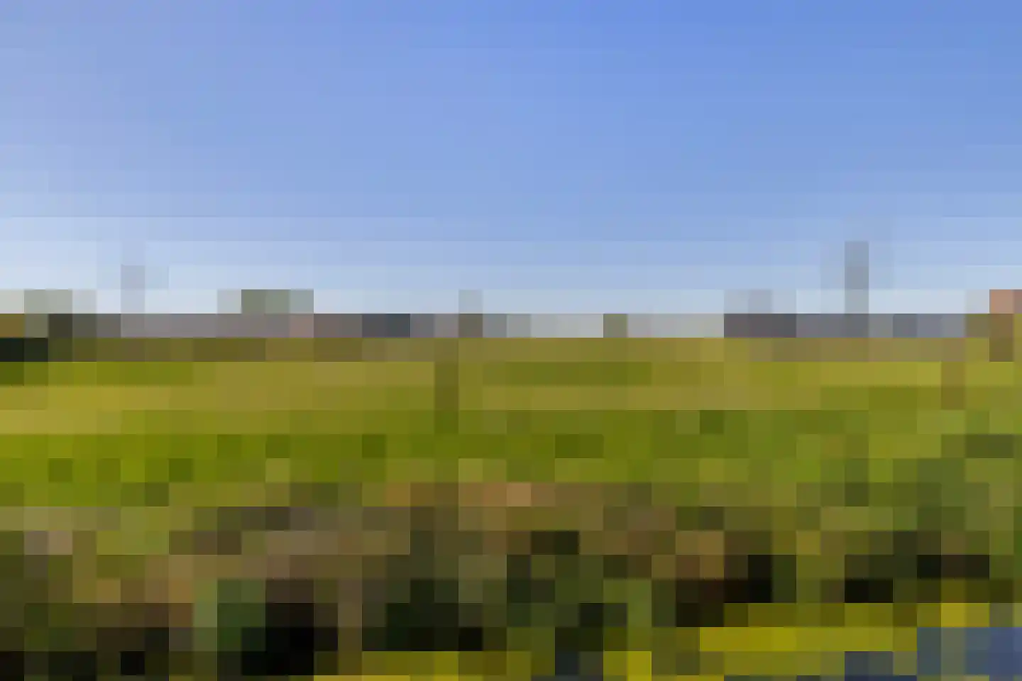 Blaaksedijk 278 Mijnsheerenland thumbnail 4