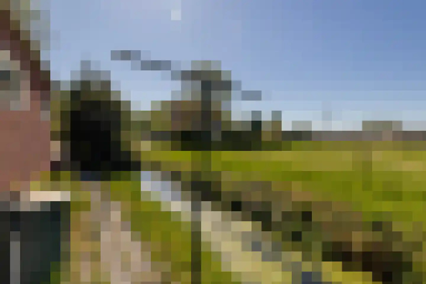 Blaaksedijk 278 Mijnsheerenland thumbnail 40