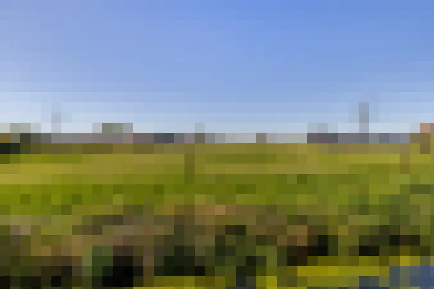 Blaaksedijk 278 Mijnsheerenland thumbnail 41
