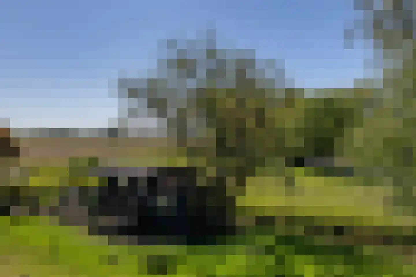 Blaaksedijk 278 Mijnsheerenland thumbnail 44