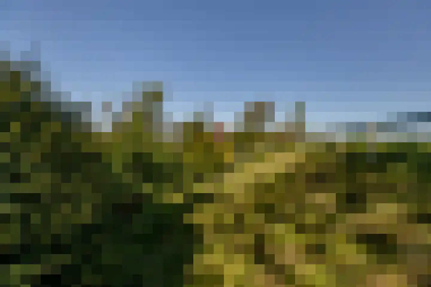 Blaaksedijk 278 Mijnsheerenland thumbnail 45