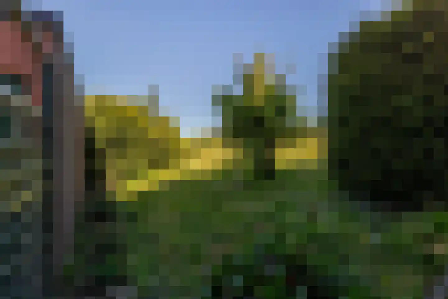 Blaaksedijk 278 Mijnsheerenland thumbnail 46
