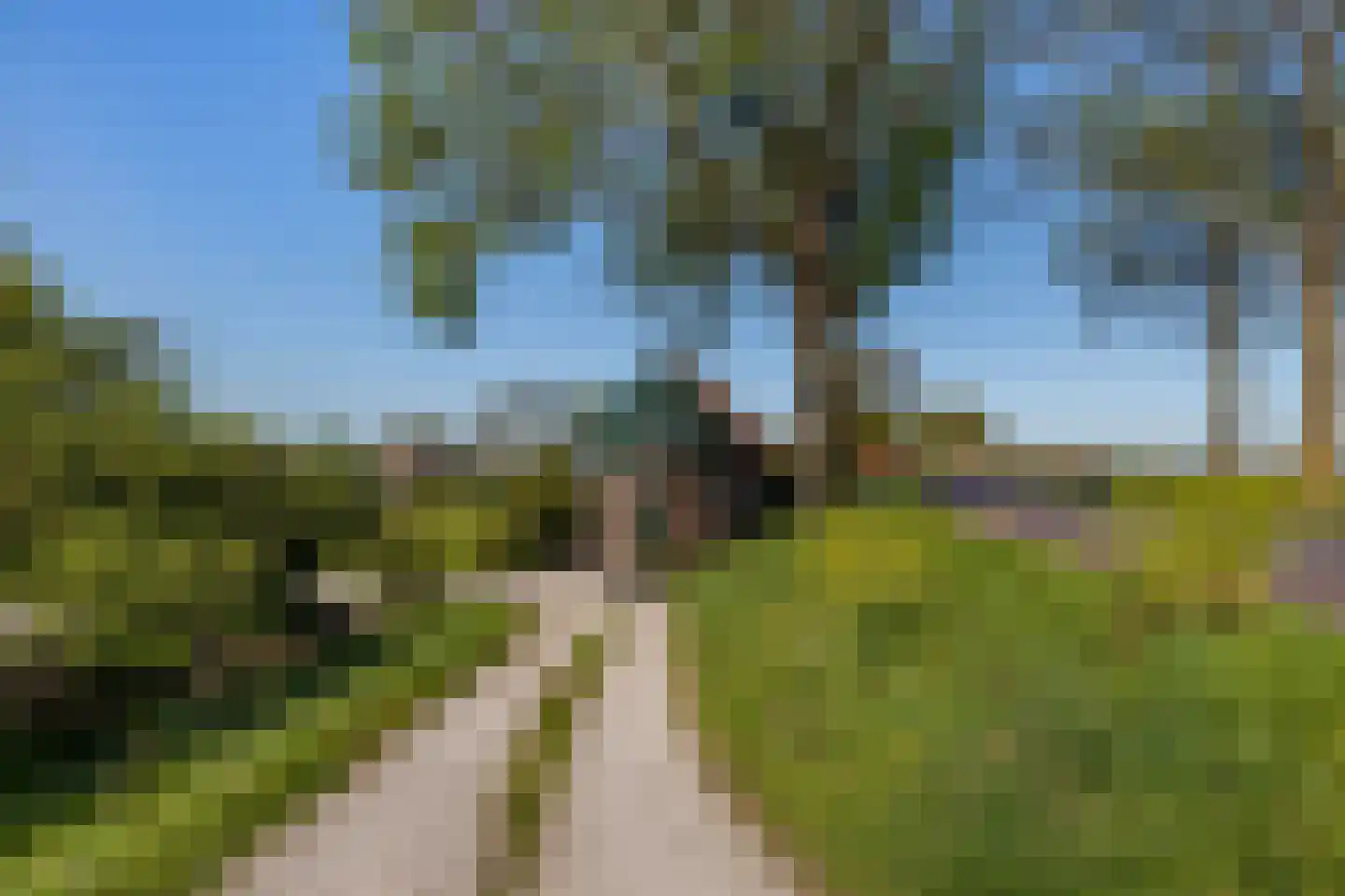 Blaaksedijk 278 Mijnsheerenland thumbnail 47