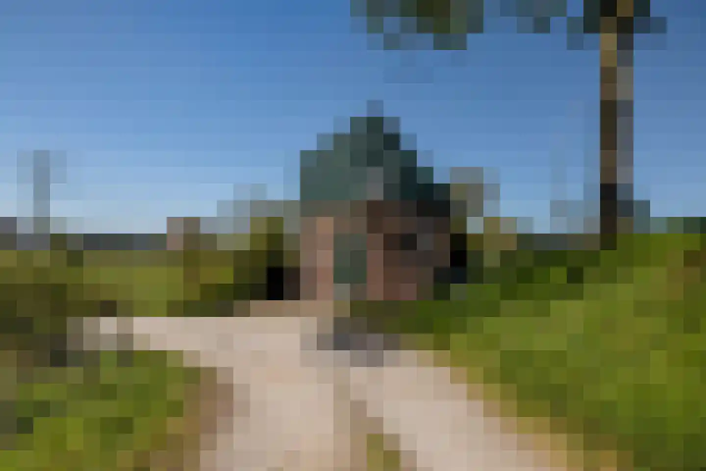 Blaaksedijk 278 Mijnsheerenland thumbnail 48