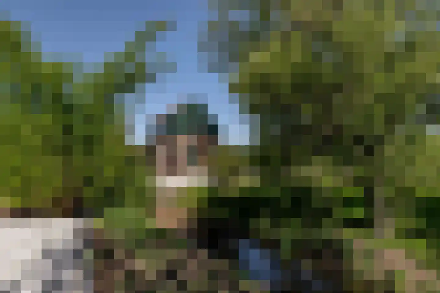 Blaaksedijk 278 Mijnsheerenland thumbnail 49