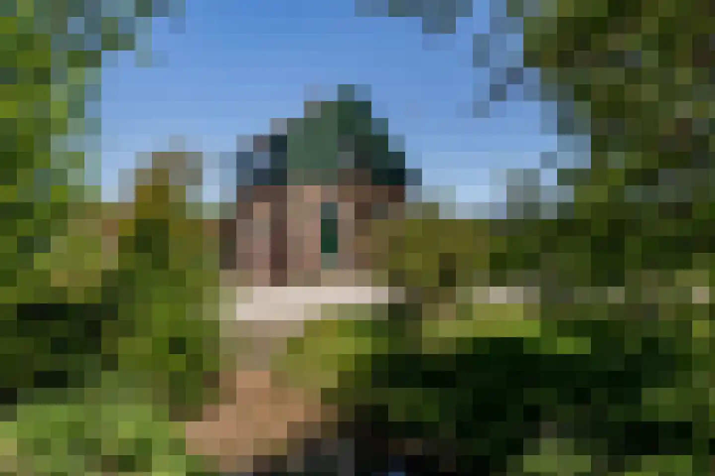 Blaaksedijk 278 Mijnsheerenland thumbnail 50