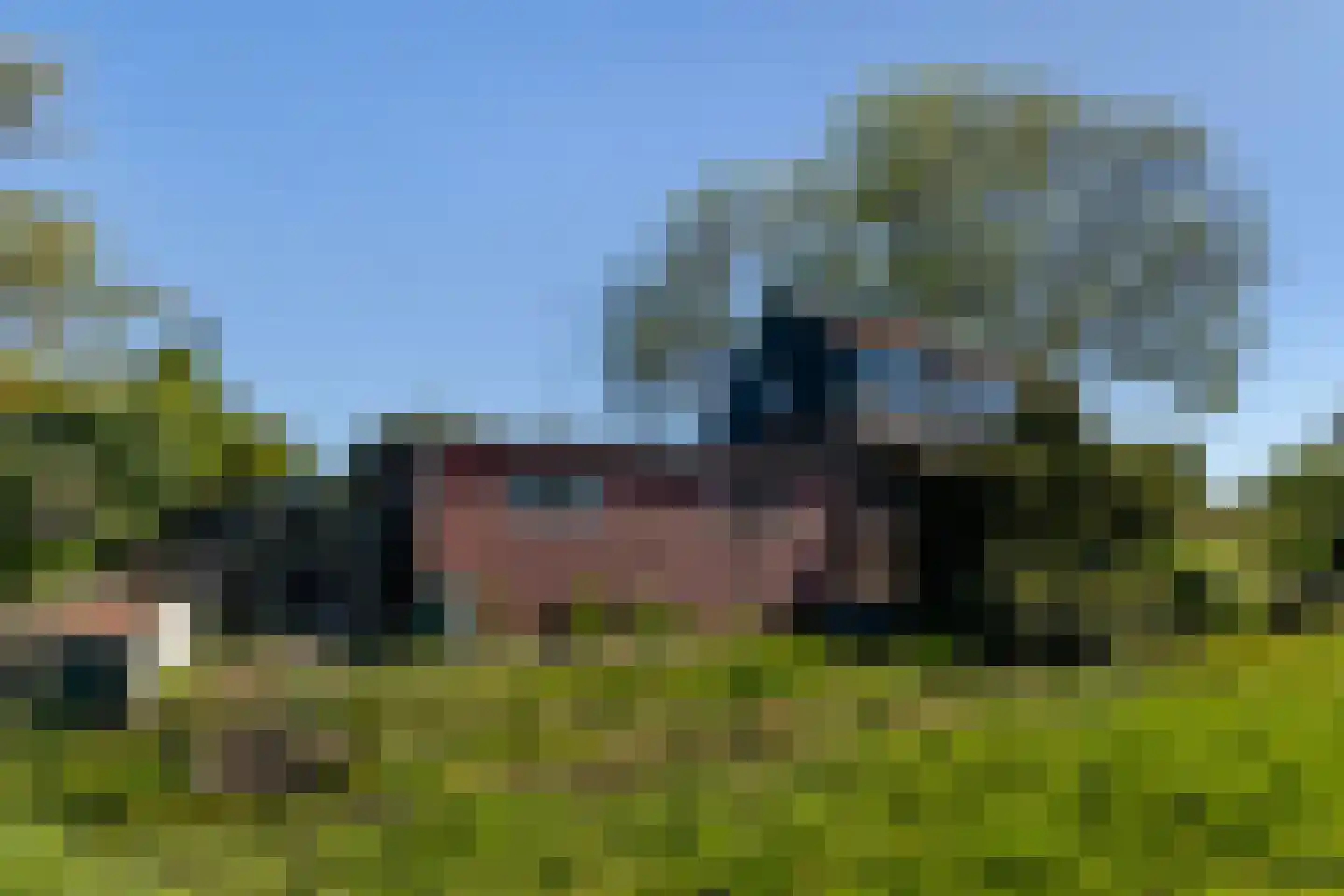 Blaaksedijk 278 Mijnsheerenland thumbnail 54