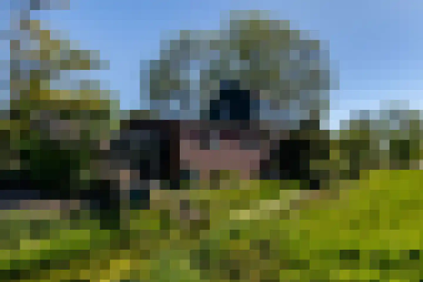 Blaaksedijk 278 Mijnsheerenland thumbnail 55