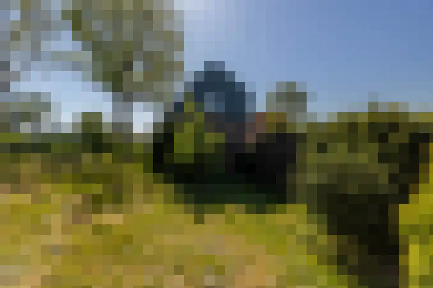 Blaaksedijk 278 Mijnsheerenland thumbnail 56