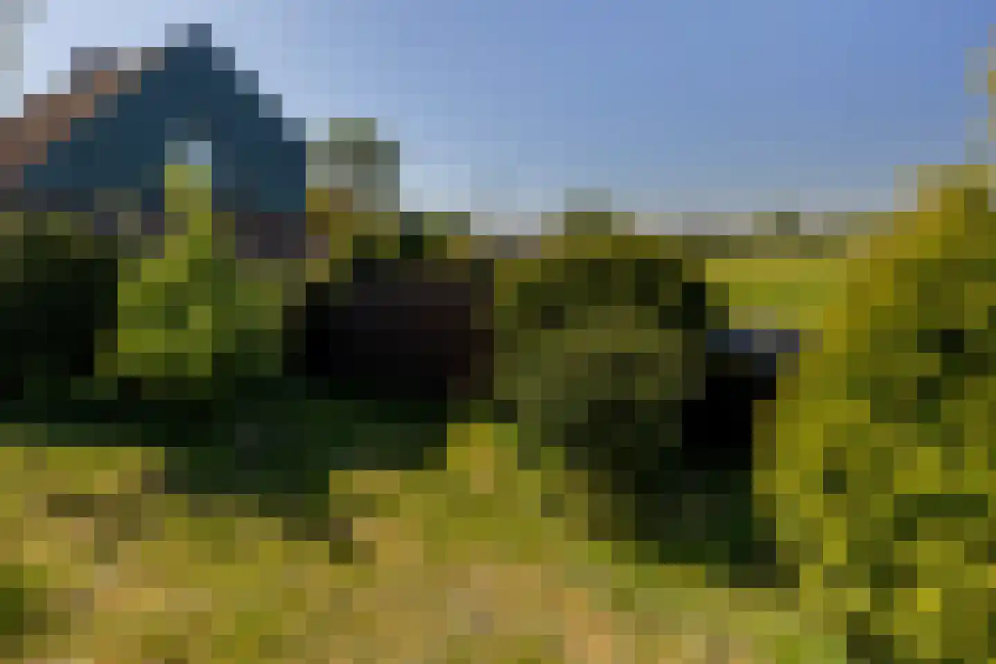 Blaaksedijk 278 Mijnsheerenland thumbnail 57