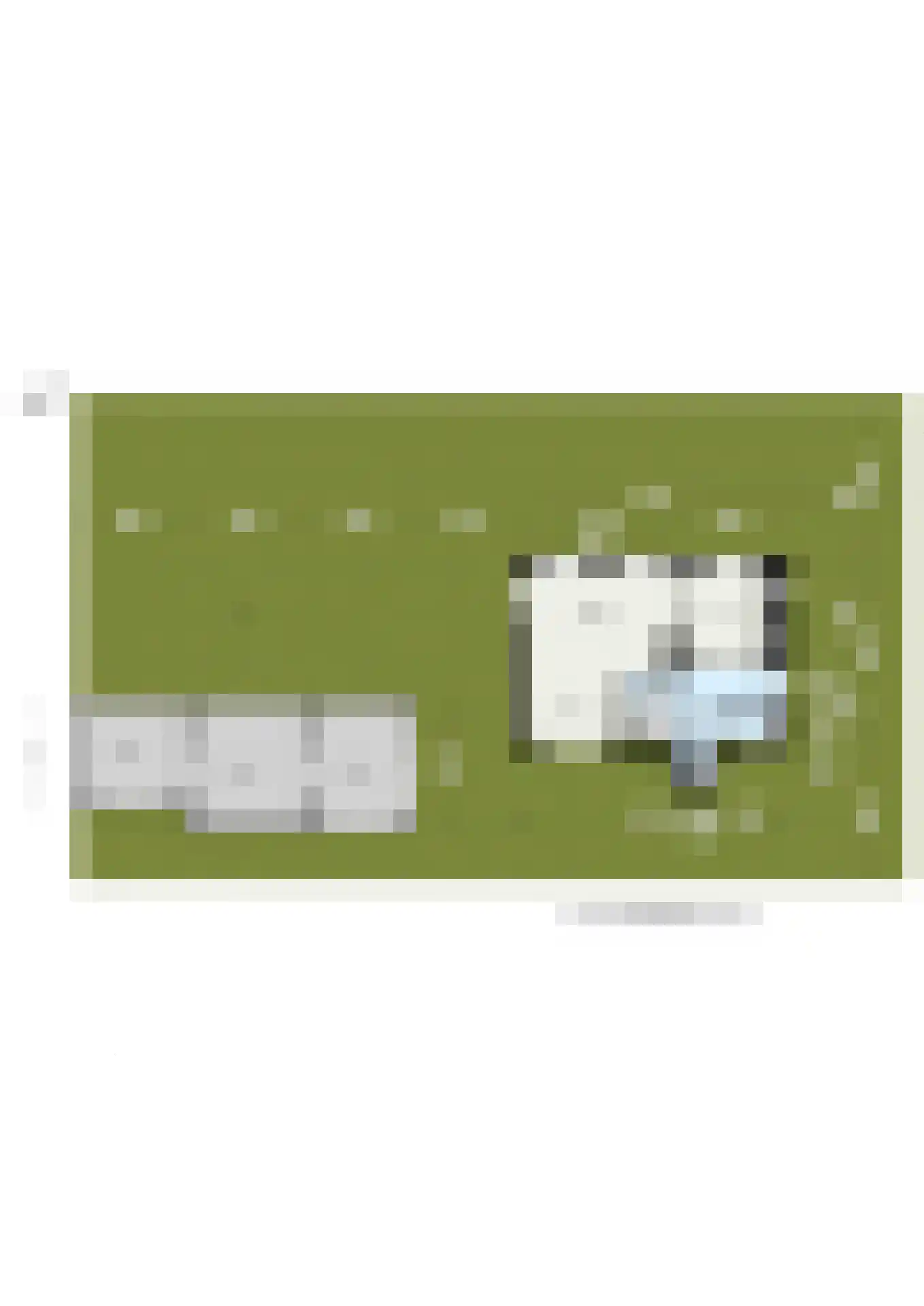 Blaaksedijk 278 Mijnsheerenland thumbnail 58