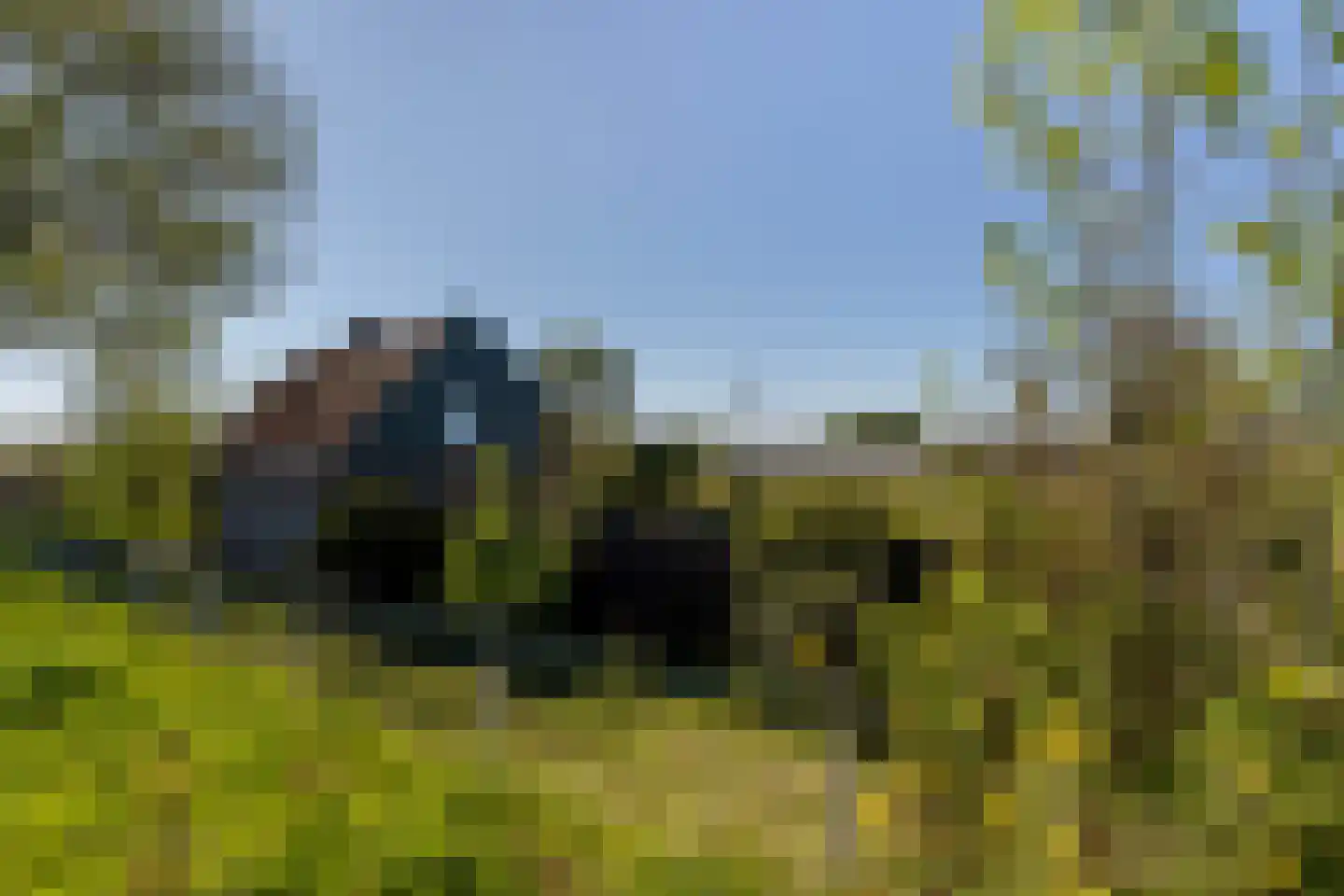 Blaaksedijk 278 Mijnsheerenland thumbnail 7