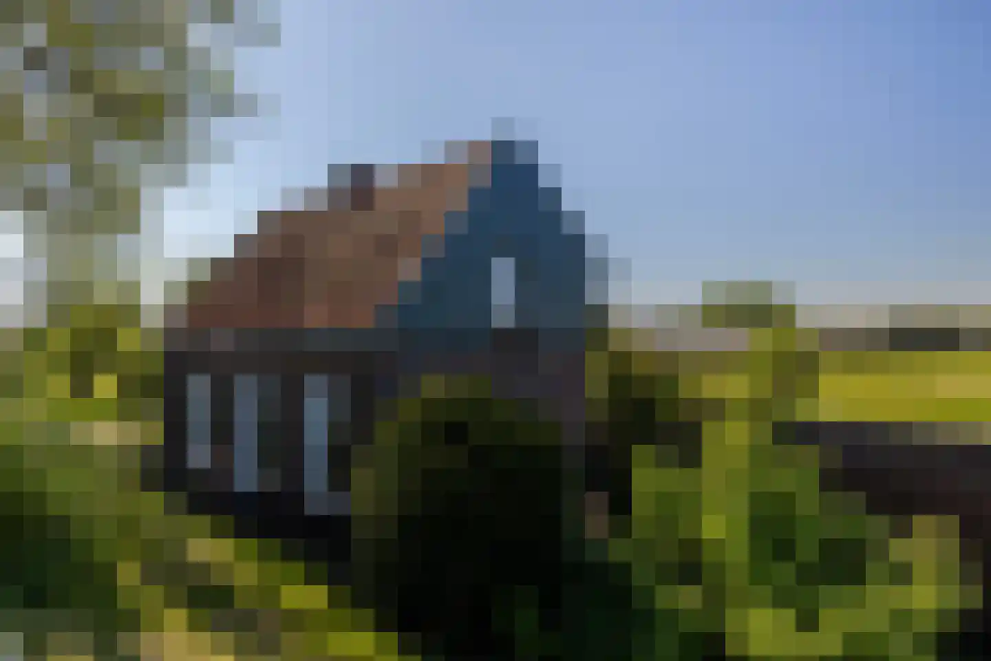 Blaaksedijk 278 Mijnsheerenland thumbnail 8
