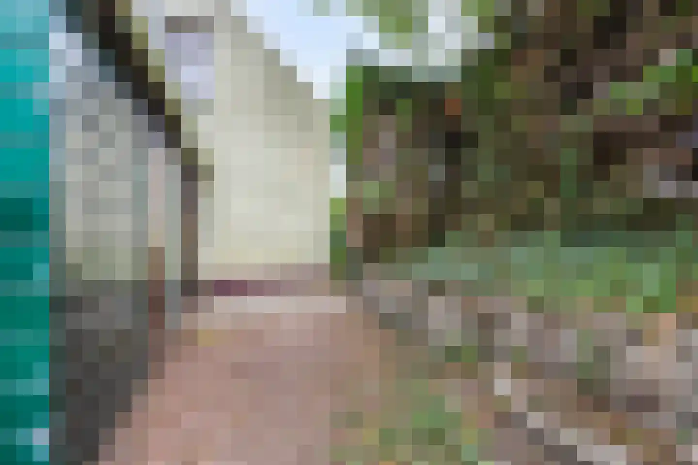 Blaaksedijk Oost 18 Heinenoord thumbnail 24
