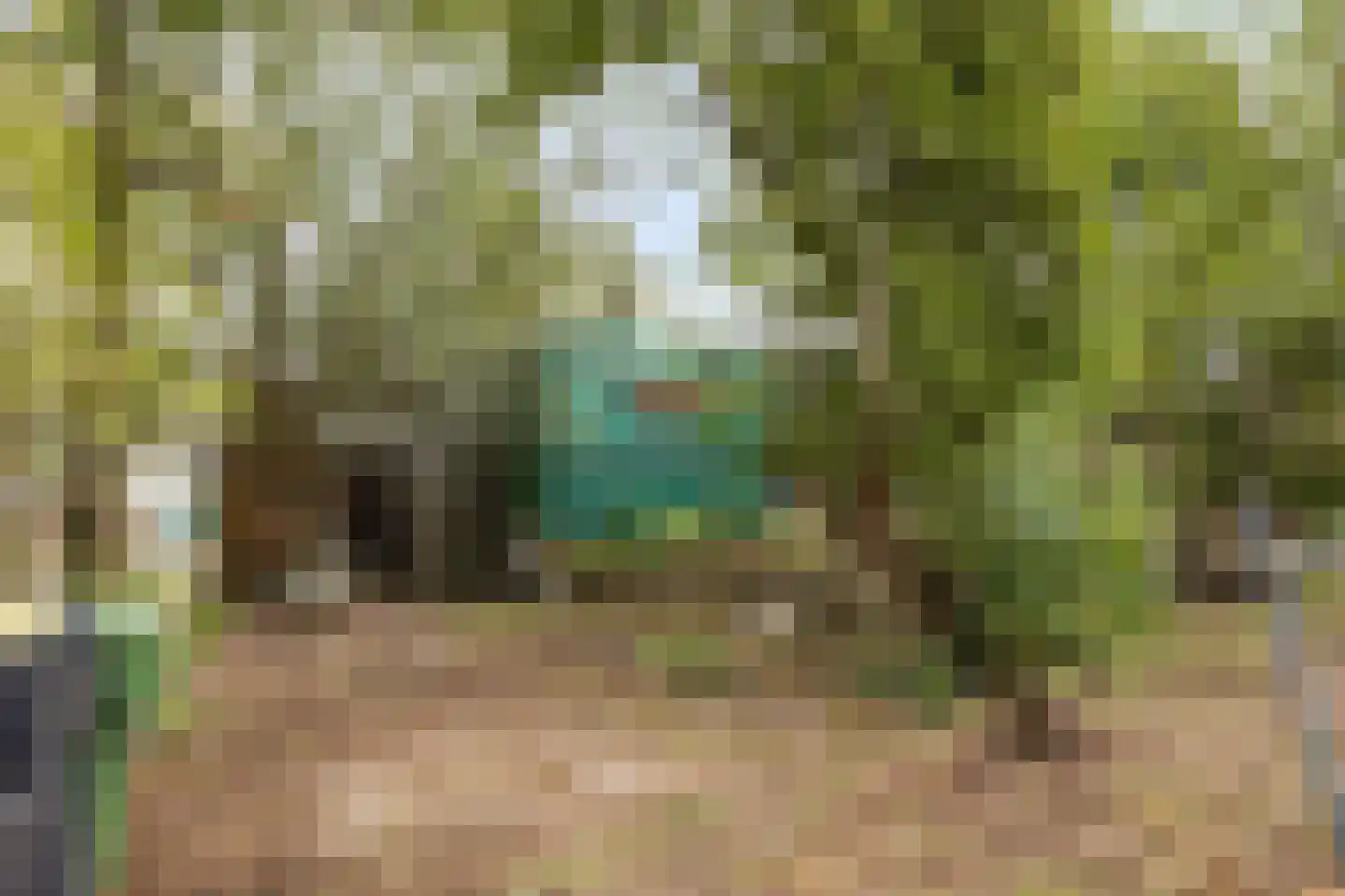 Blaaksedijk Oost 18 Heinenoord thumbnail 25