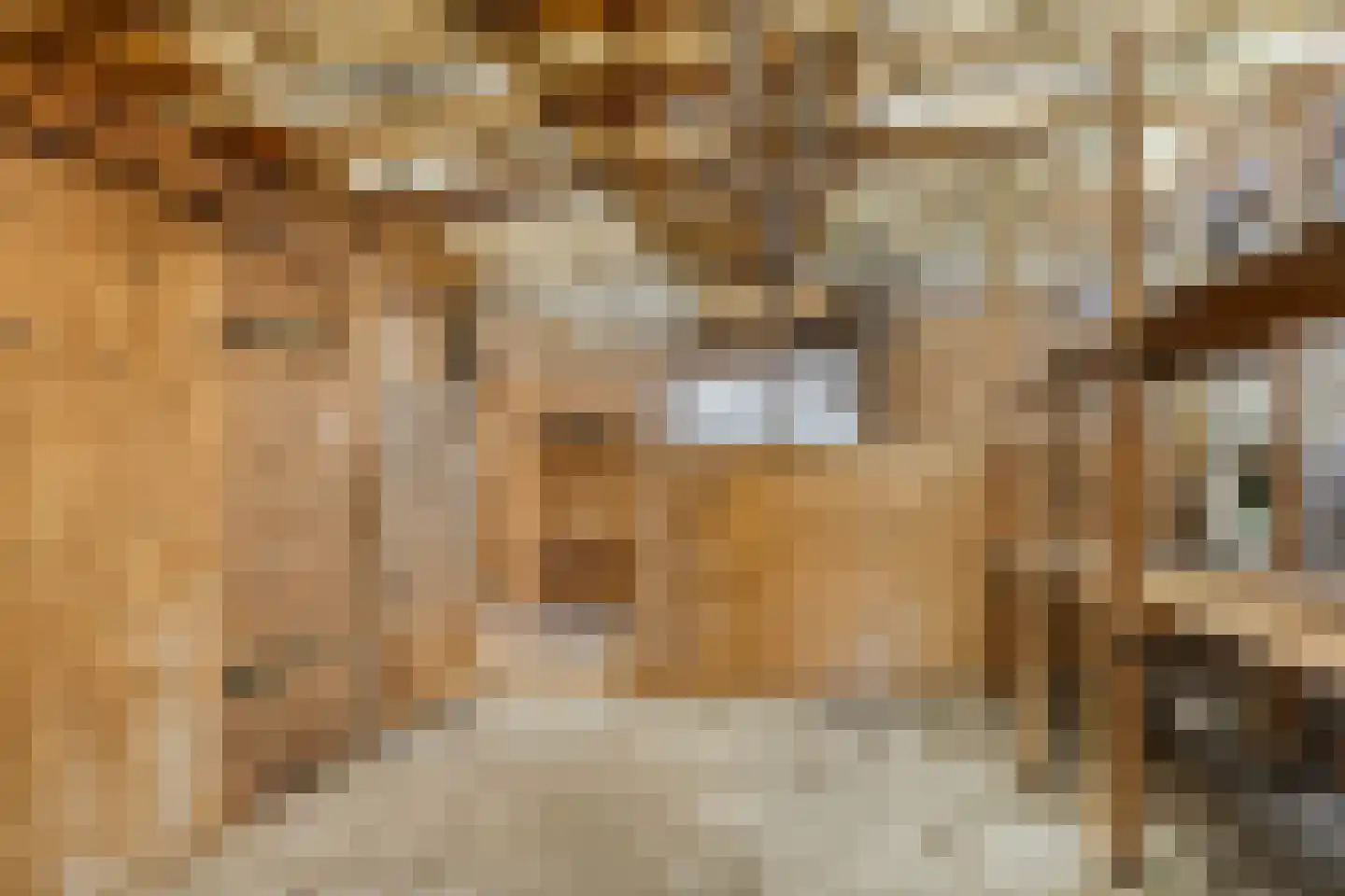 Blaaksedijk Oost 18 Heinenoord thumbnail 27