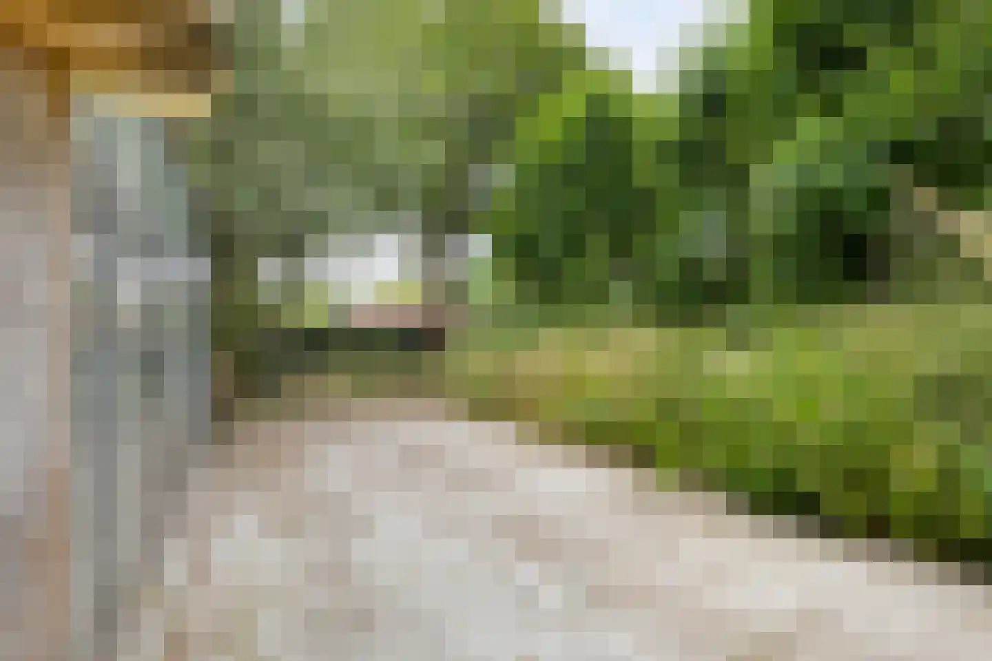Blaaksedijk Oost 18 Heinenoord thumbnail 28