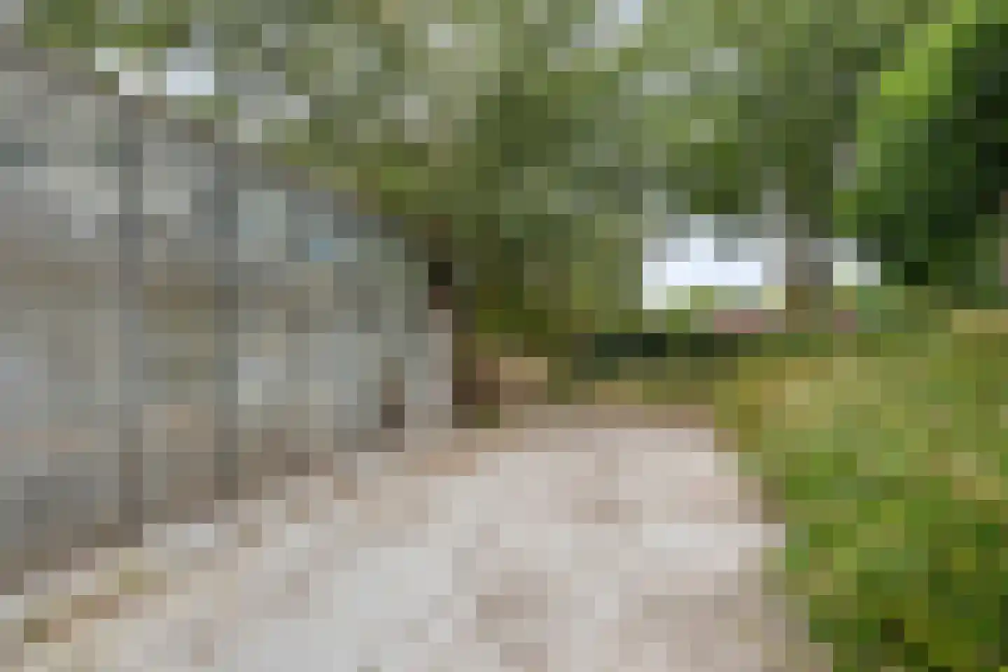 Blaaksedijk Oost 18 Heinenoord thumbnail 29