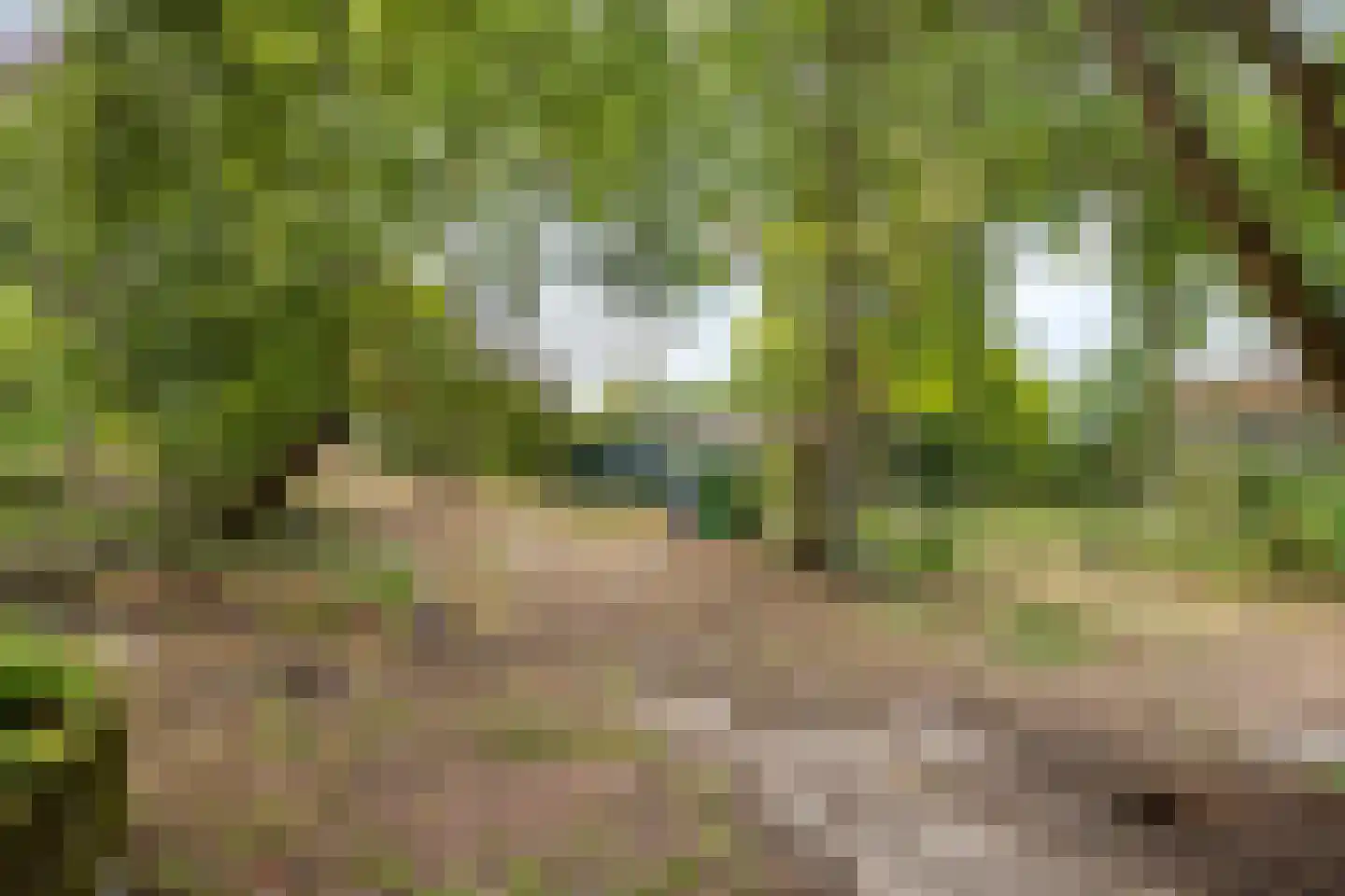 Blaaksedijk Oost 18 Heinenoord thumbnail 30