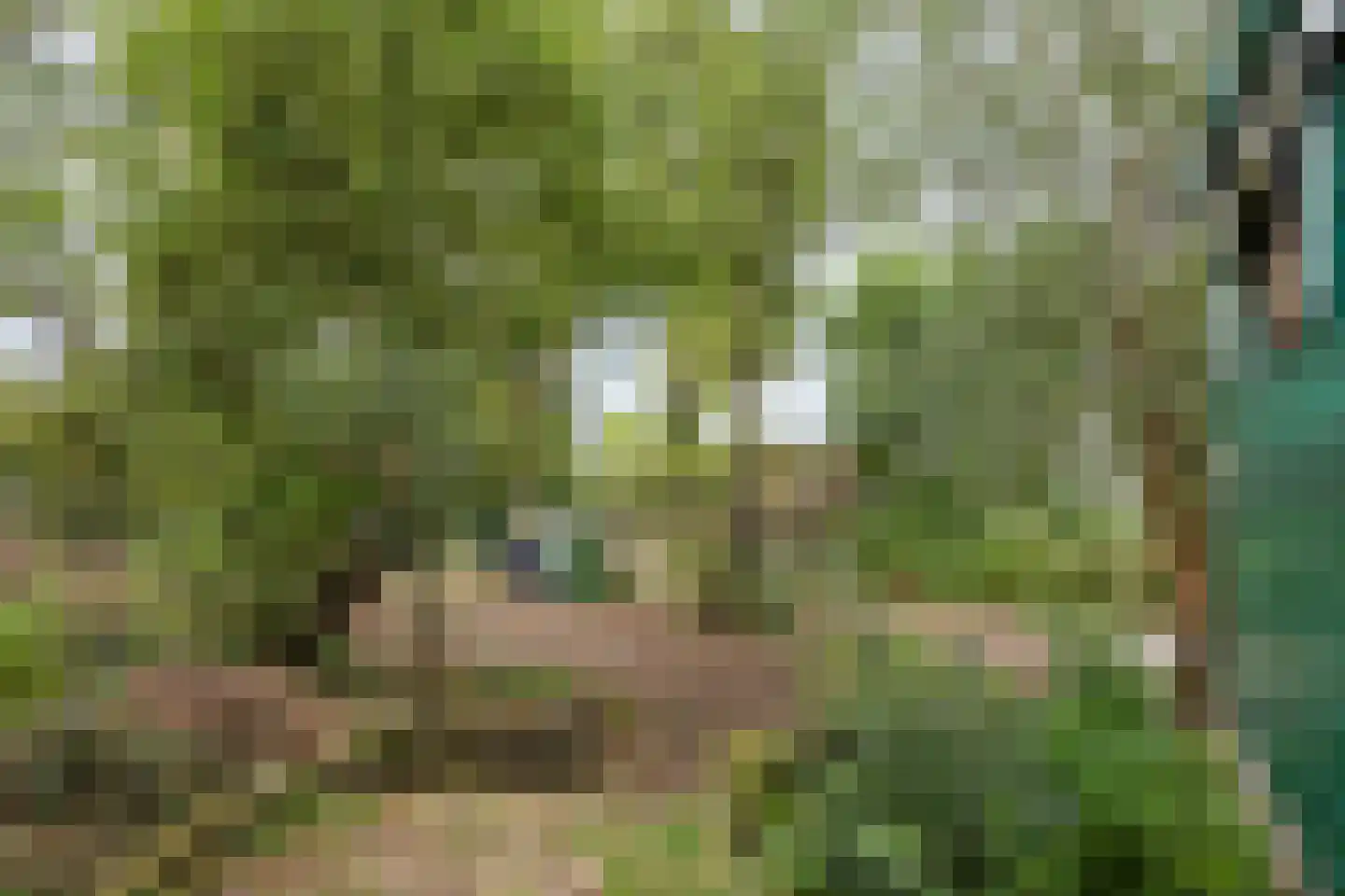 Blaaksedijk Oost 18 Heinenoord thumbnail 4