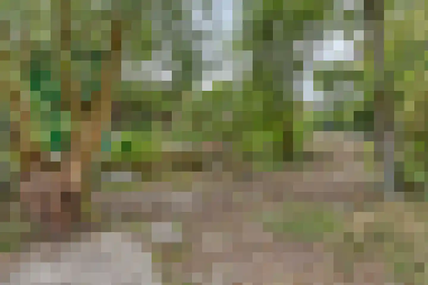 Blaaksedijk Oost 18 Heinenoord thumbnail 6