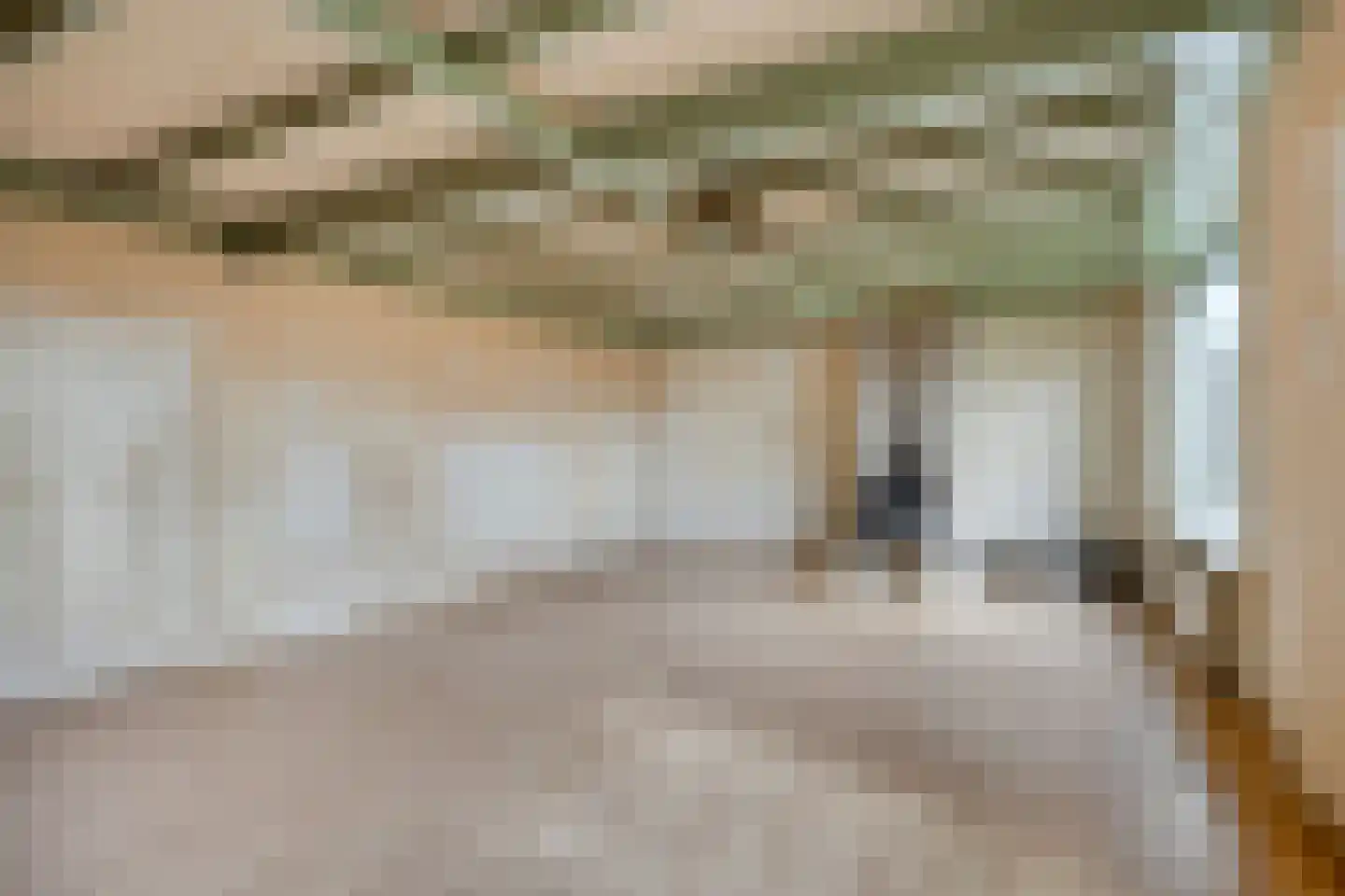 Blaaksedijk Oost 18 Heinenoord thumbnail 8